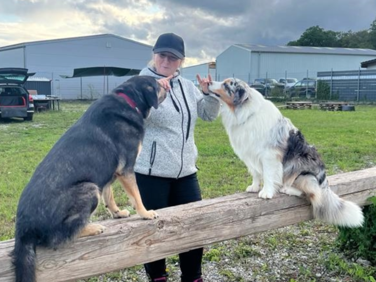 Christiana Gramlich im Training Eine Person steht draußen und füttert zwei Hunde auf einem Baumstamm.
